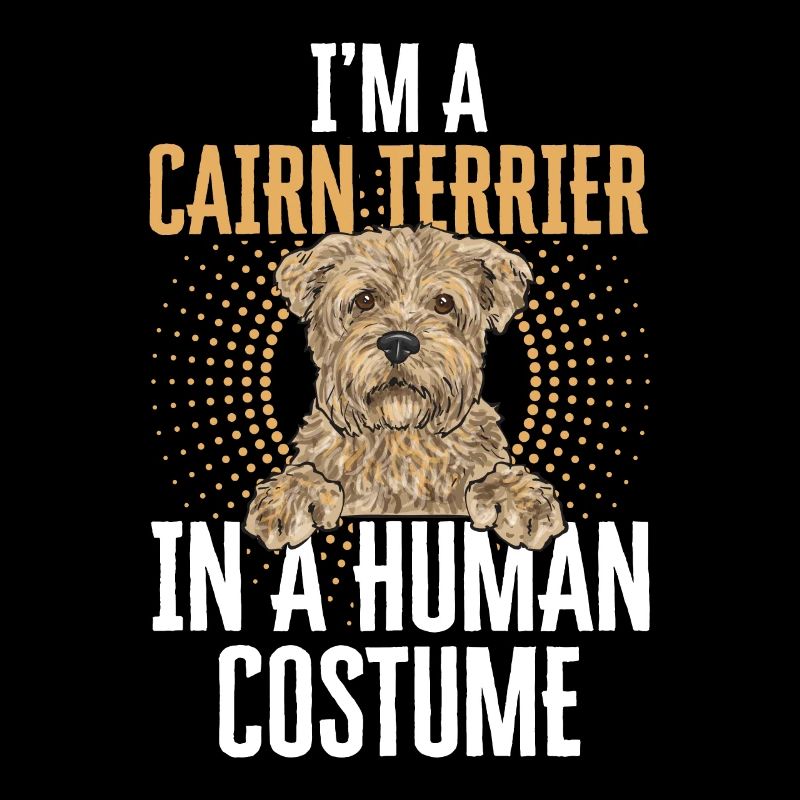 Cairn Terrier Chien