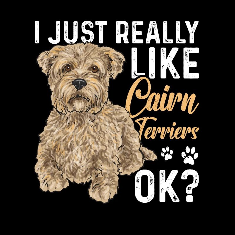 Cairn Terrier Chien
