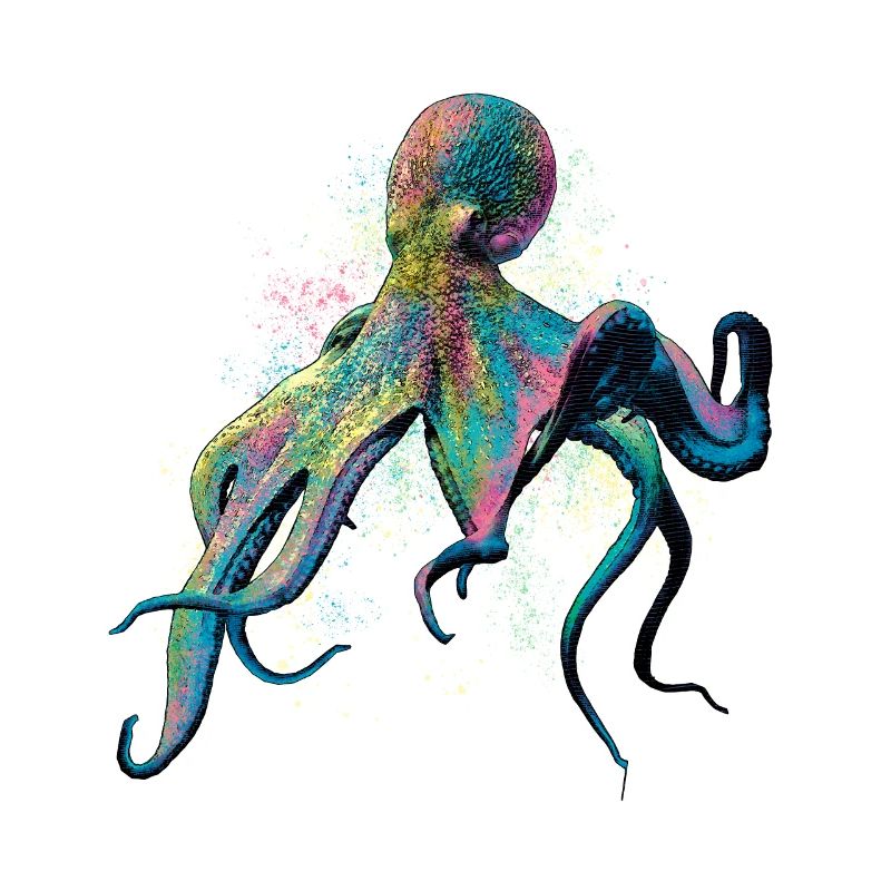 Pieuvre colorée