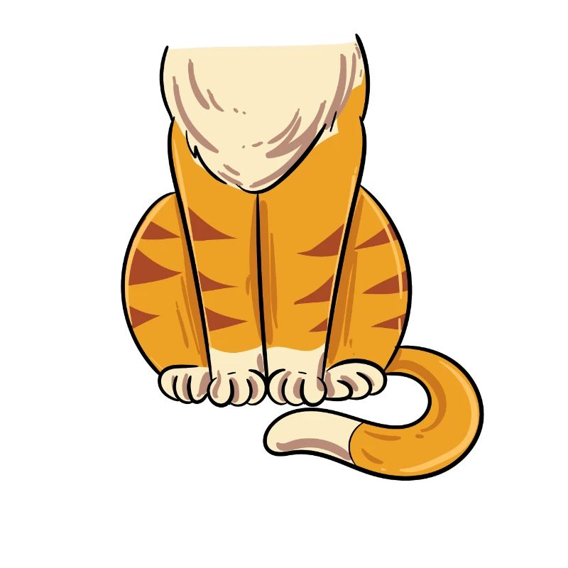 Costume de chat