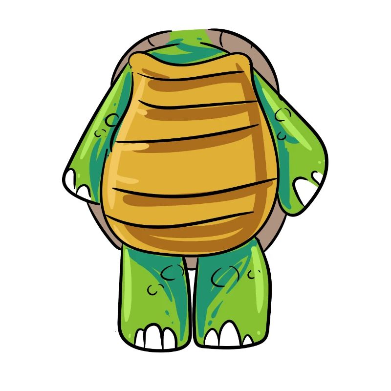 Turtle Costume