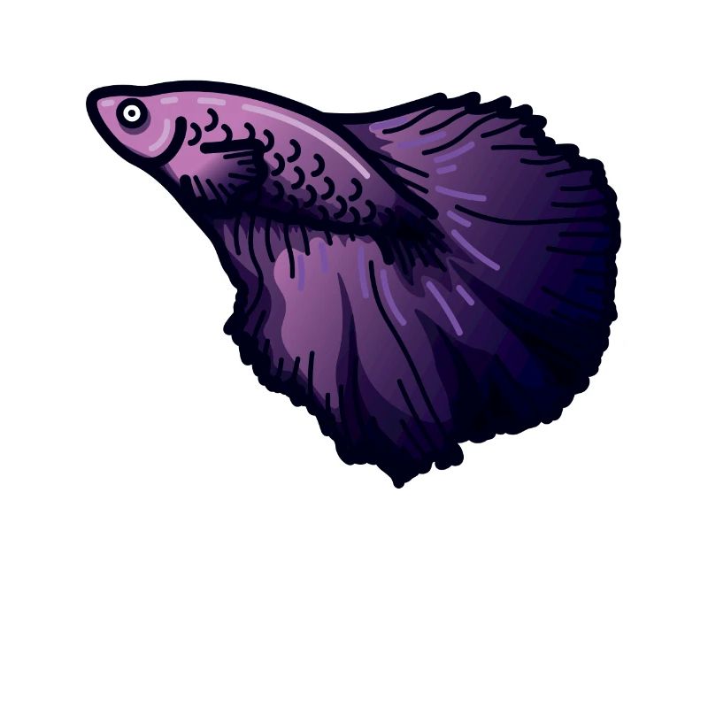 Plongée en eau Plongeur Océan