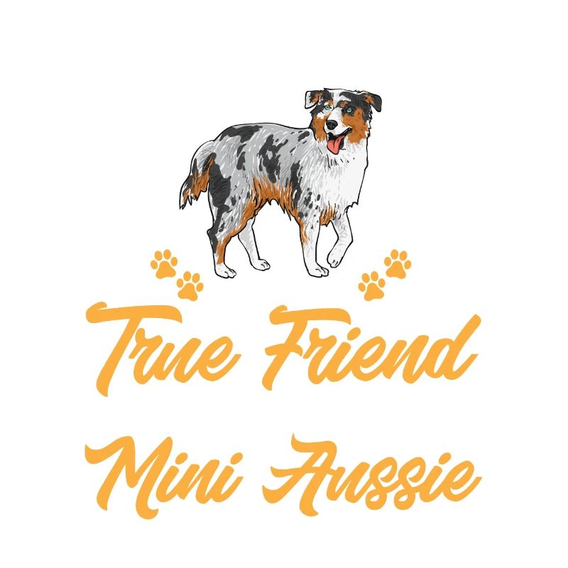 Miniature Australian Shepherd