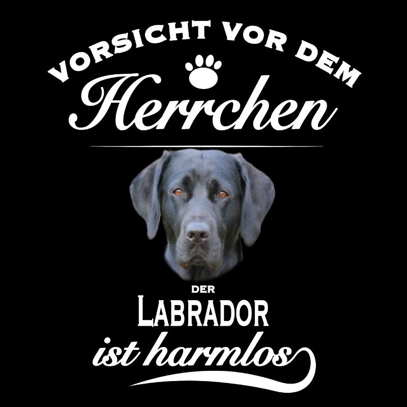 Vorsicht vor dem Herrchen, harmlos Labrador