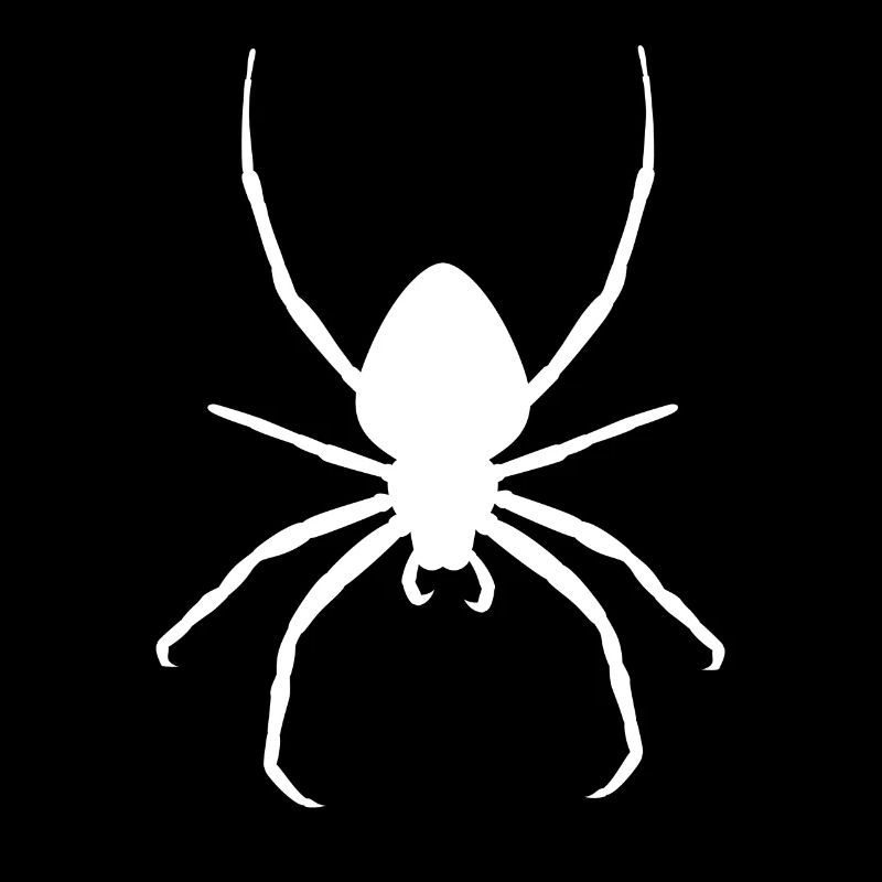 White spider tarantula