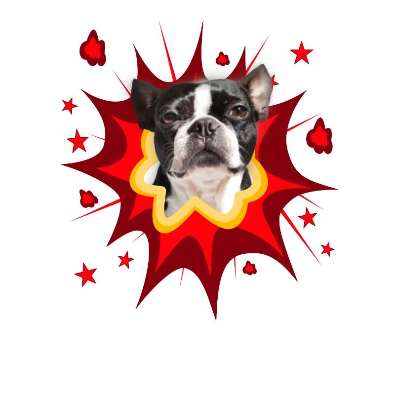 Conception de chien comique - Pow - Boston Terrier