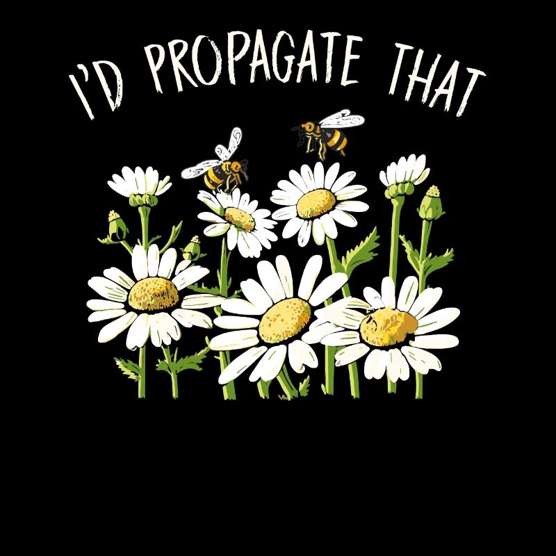 Margeriten Gänseblümchen Sommer Gänseblümchen Blumengarten