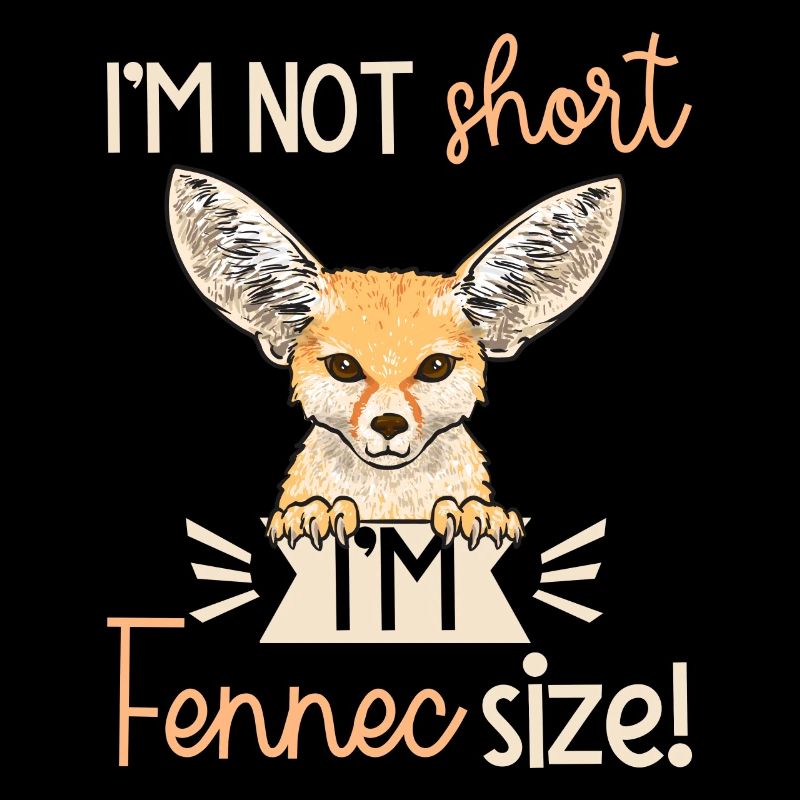 Fennek Fox Fennec Fox Desert Fox