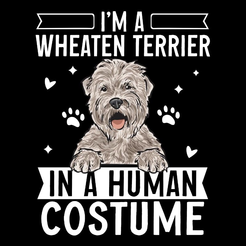 Terrier irlandais à enrobage doux