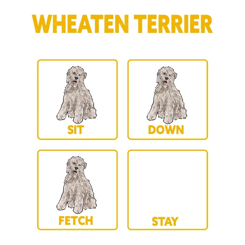 Terrier irlandais à enrobage doux