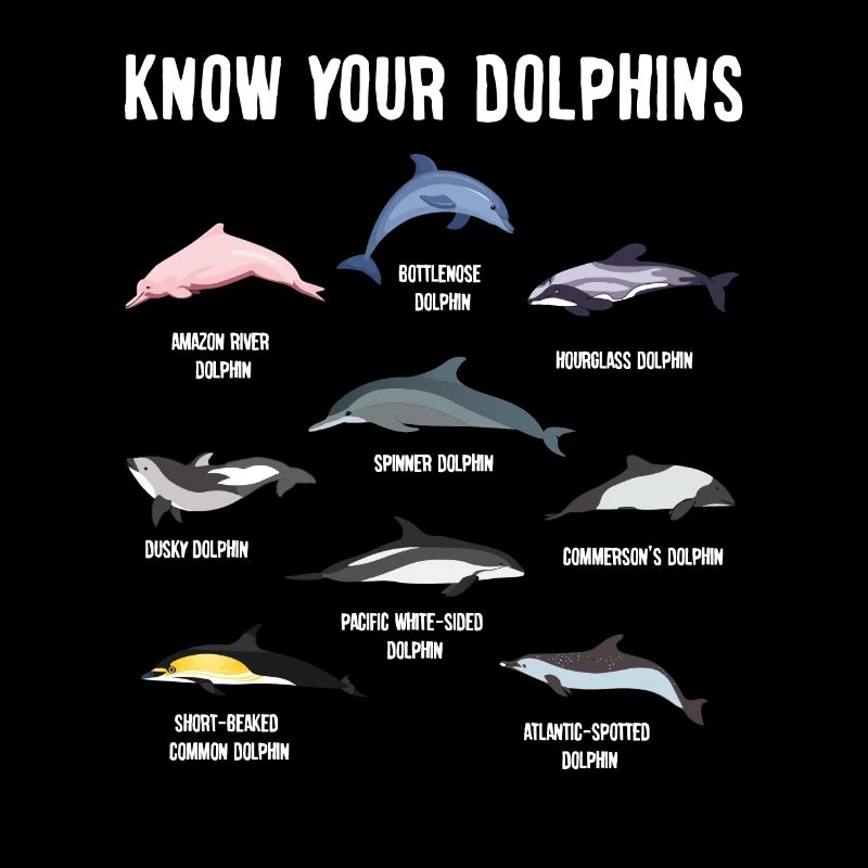 Espèces de dauphins Dolphins Gift Ocean
