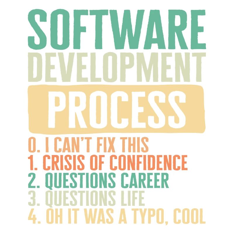 Programmer Shirt, I Software Development Process
