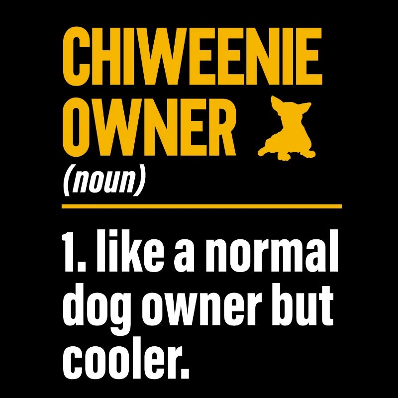 Chiweenie Dog