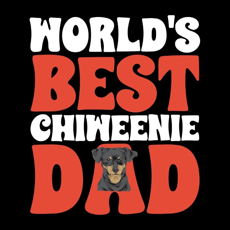 Chiweenie Dog