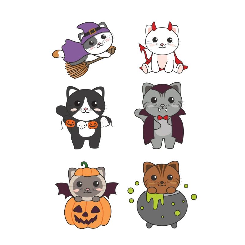 Chat Halloween Devil Pumpkin Vampire Costume