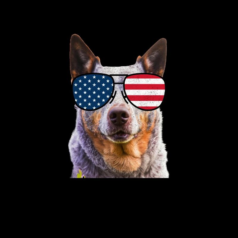 Bouvier australien États-Unis