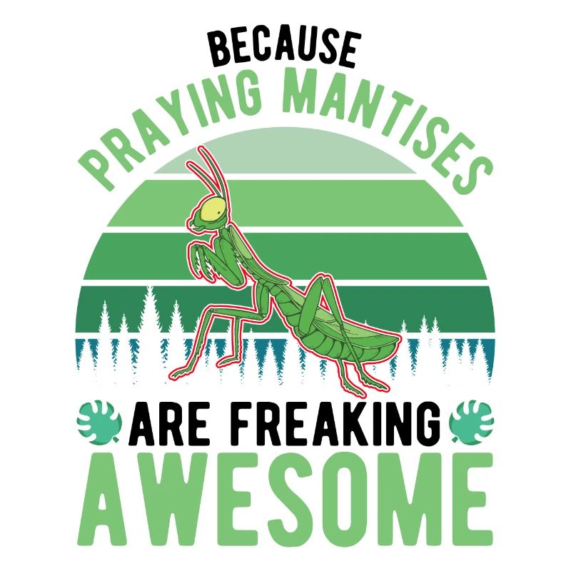 Praying Mantis Mantis Mantis