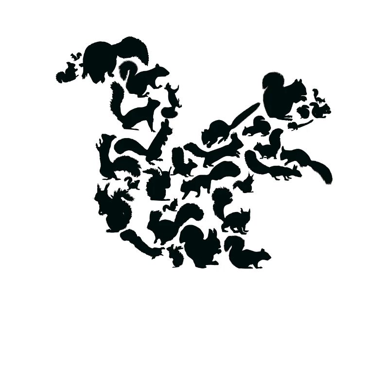 Eichhörnchen Wald Wildtier Tier Eichhörnchen