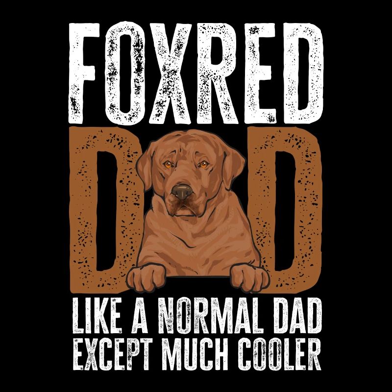 Foxred Labrador Fuchsroter Labrador Retriever