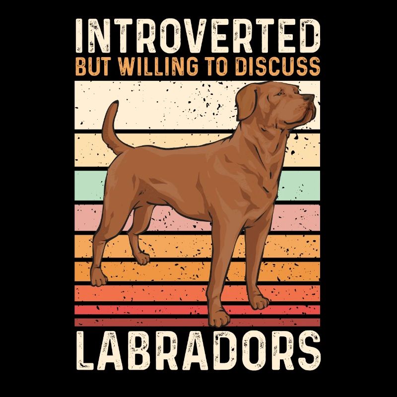 Foxred Labrador Fox Red Labrador Retriever