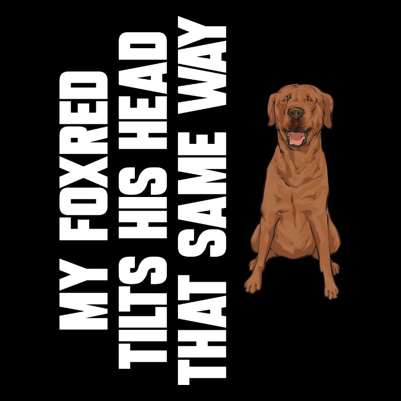 Foxred Labrador Fox Red Labrador Retriever