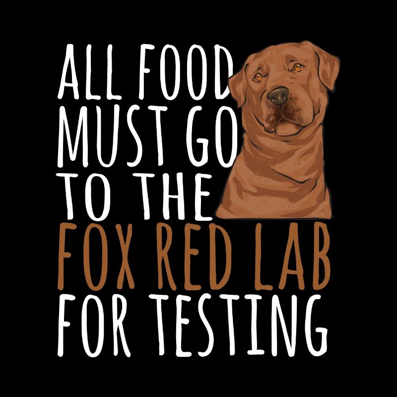 Foxred Labrador Fox Red Labrador Retriever