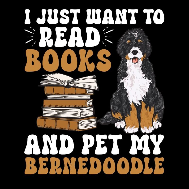 Bernedoodle Hund