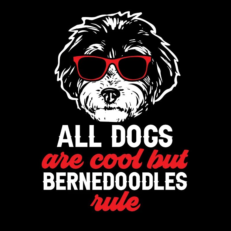 Bernedoodle Hund