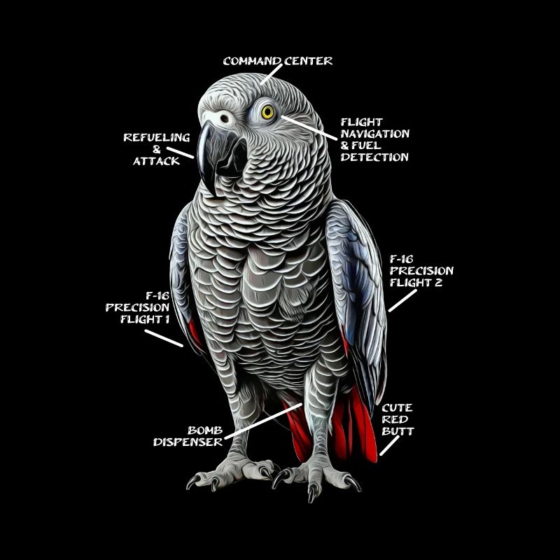 African Grey Parrot Gift