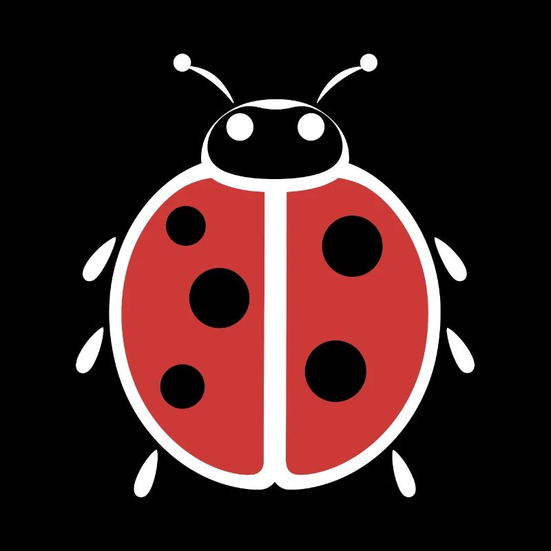 Little Ladybug