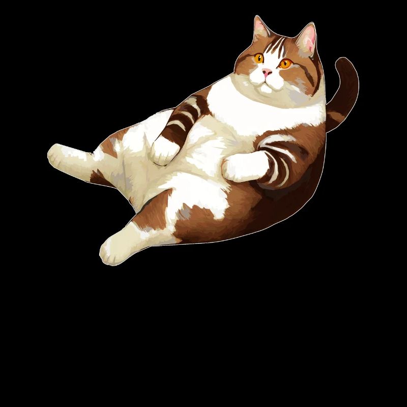 CAT FAT LYING