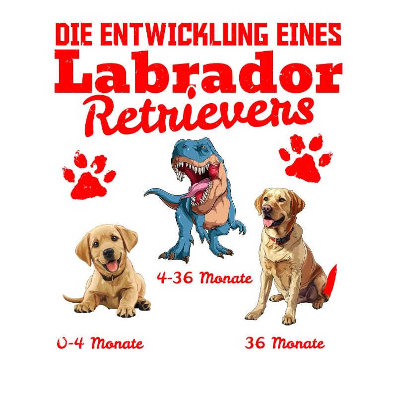 Hundebesitzer DIE EVOLUTION EINES LABRADOR