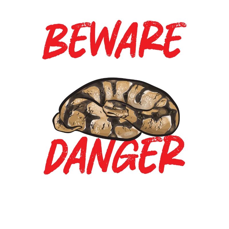 Ball Python Schlange Königspython