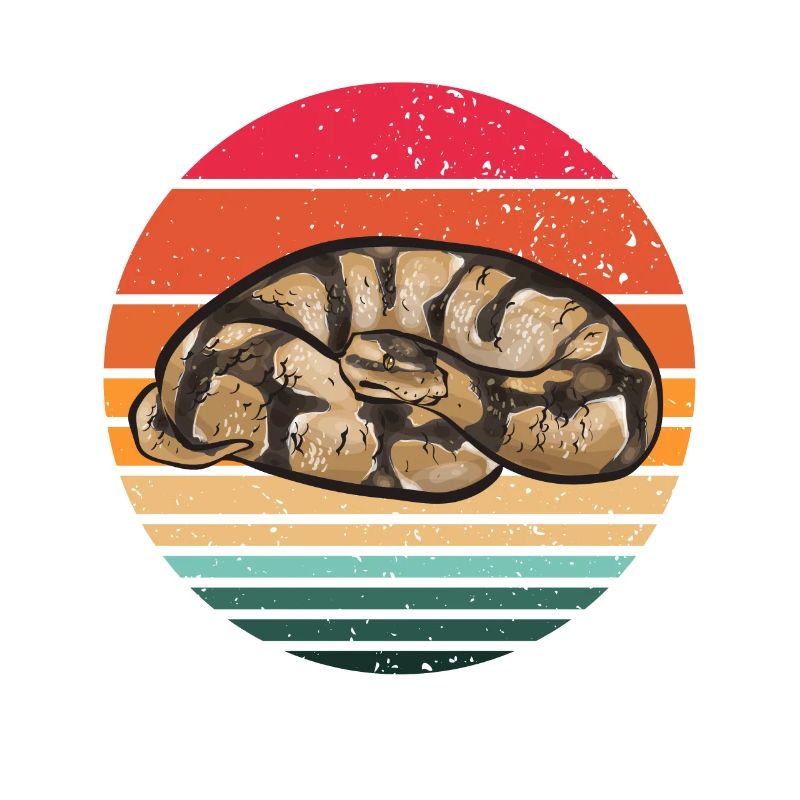 Ball Python Snake King Python