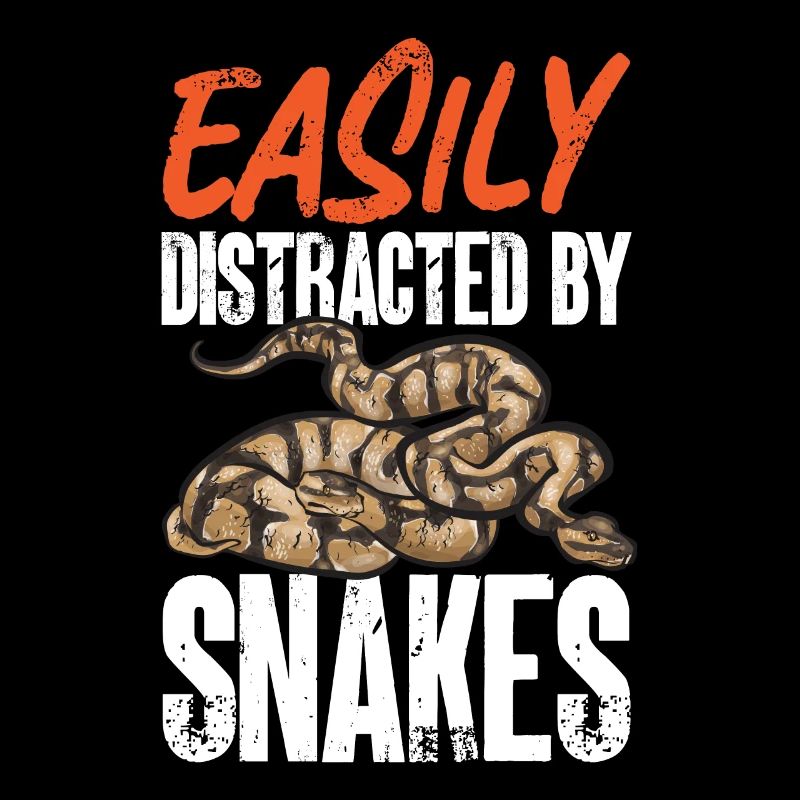 Ball Python Snake King Python