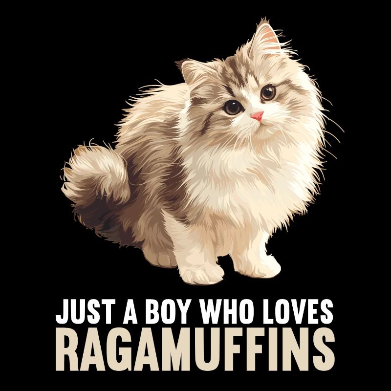Ragamuffin Kätzchen Ragamuffin Katze