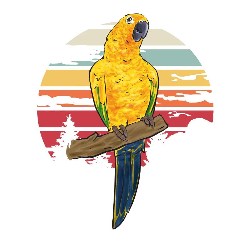 Perruche Perroquet Perruche Oiseau