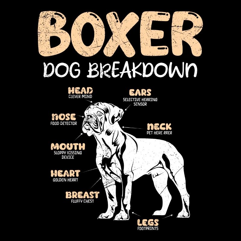 BOXER DOG BREAKDOWN German Boxer Funny