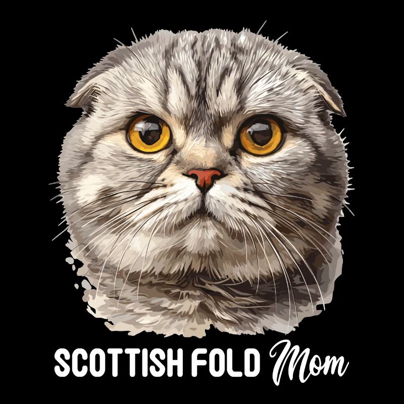 Scottish Fold Kitten Scottish Fold chat