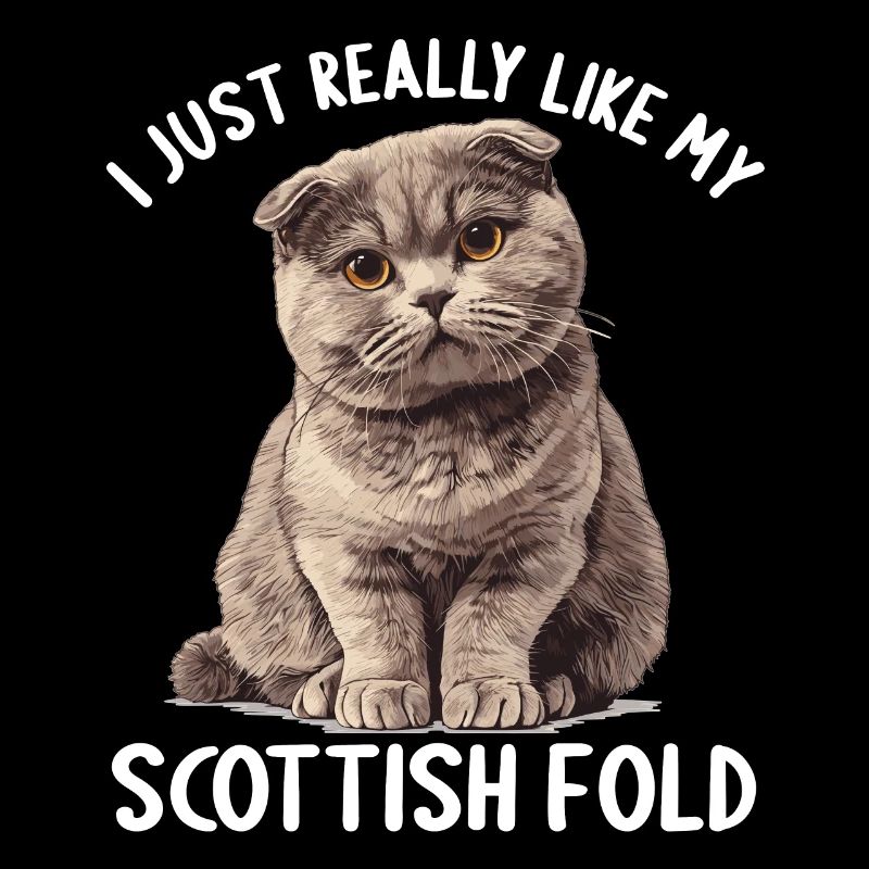 Scottish Fold Kätzchen Scottish Fold Katze
