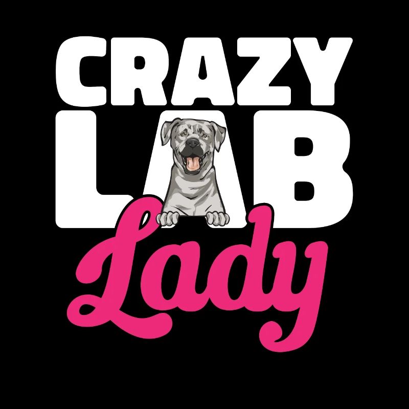 Silver Labrador Retriever Silver Lab