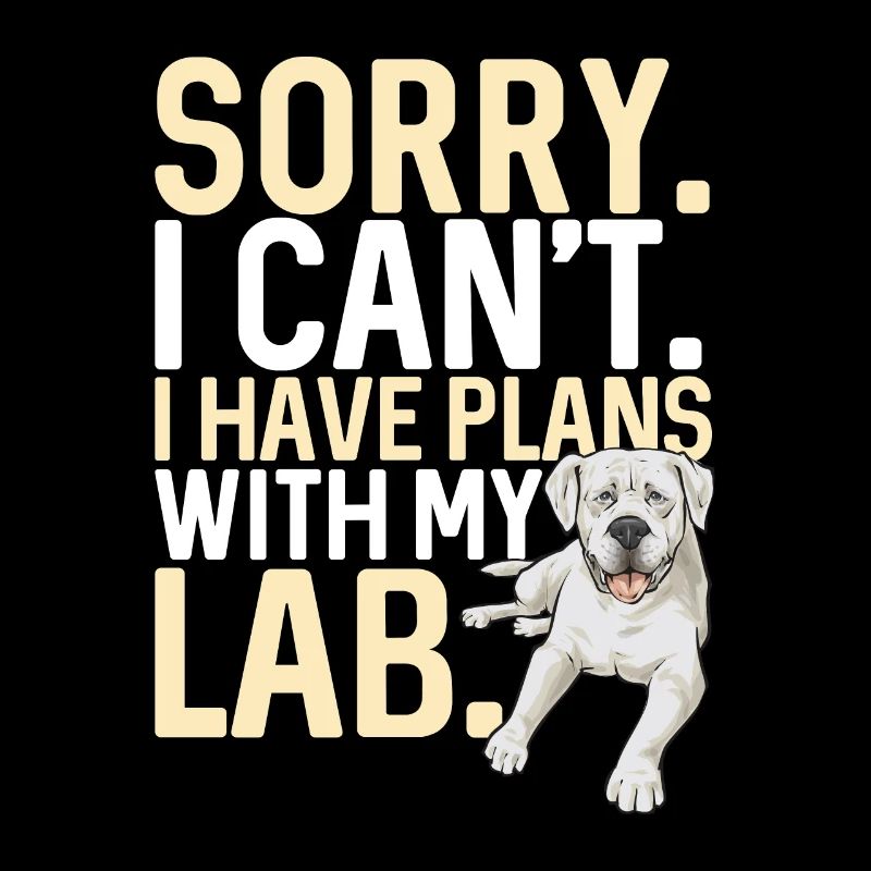 Labrador Retriever blanc Labrador Labrador blanc