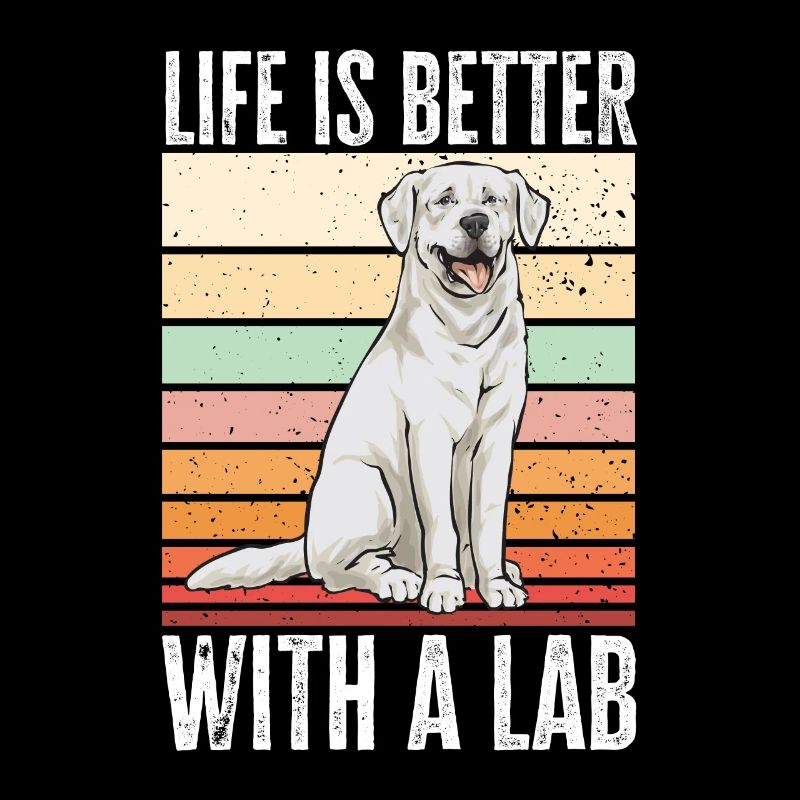 Labrador Retriever blanc Labrador Labrador blanc