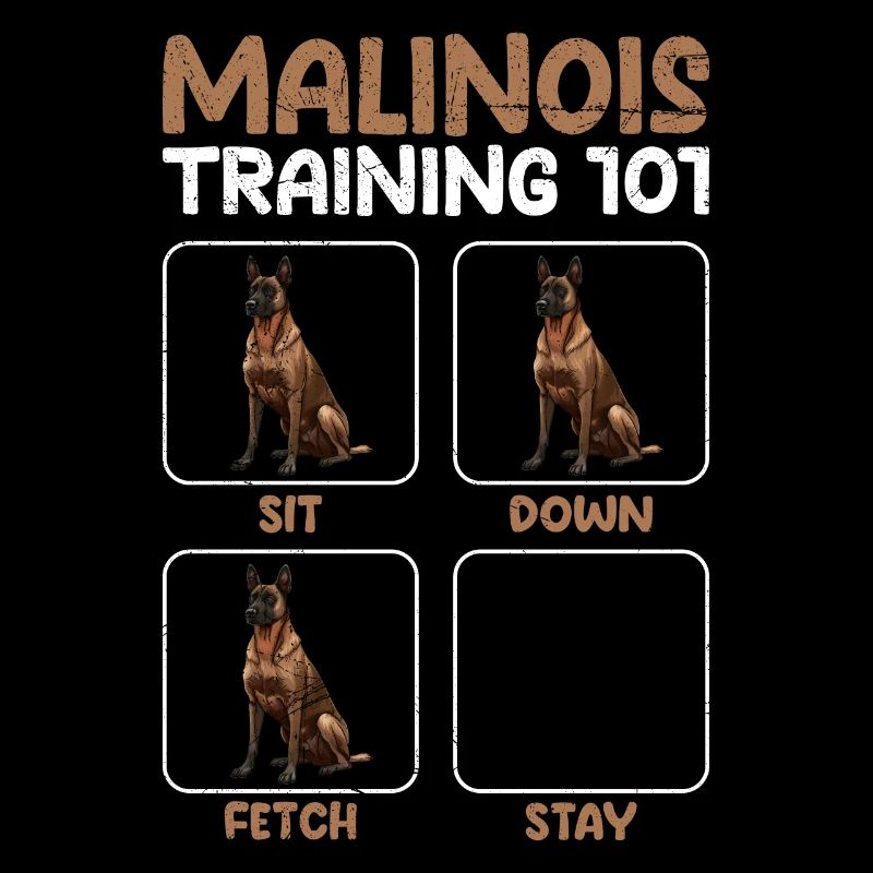 MALINOIS TRAINING 101 Belgian Shepherd