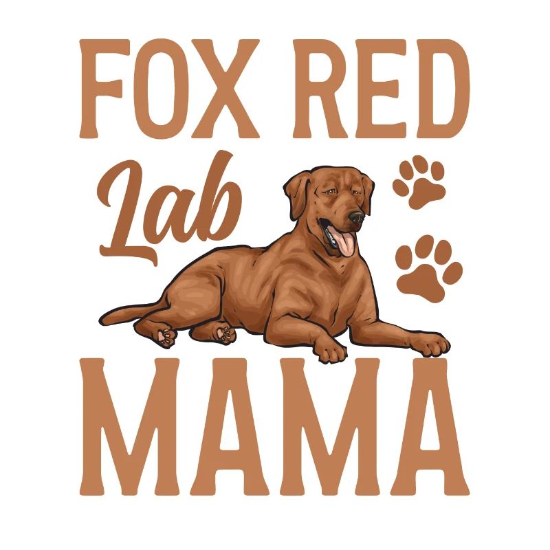 Fuchsroter Labrador Retriever Fox Red Labrador