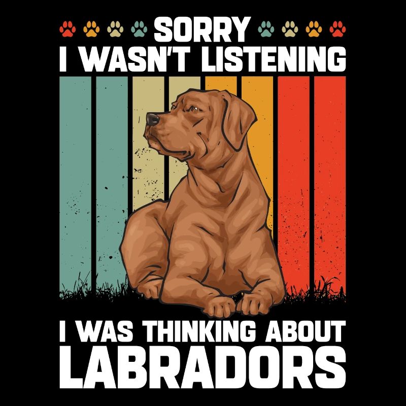 Fuchsroter Labrador Retriever Fox Labrador rouge