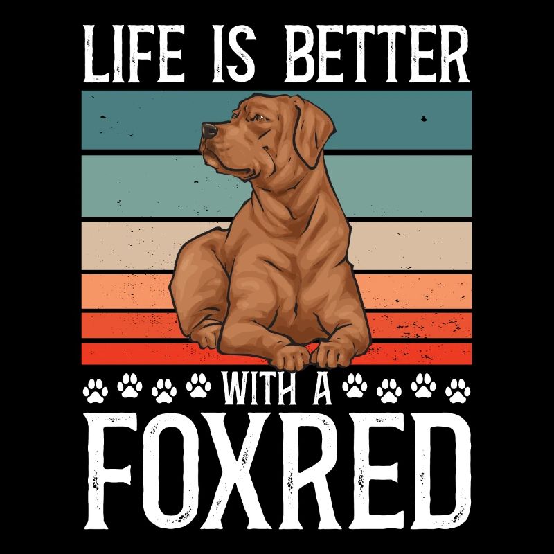 Fuchsroter Labrador Retriever Fox Red Labrador