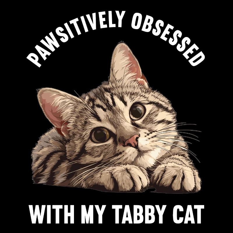 Tabby Kätzchen Tabby Katze