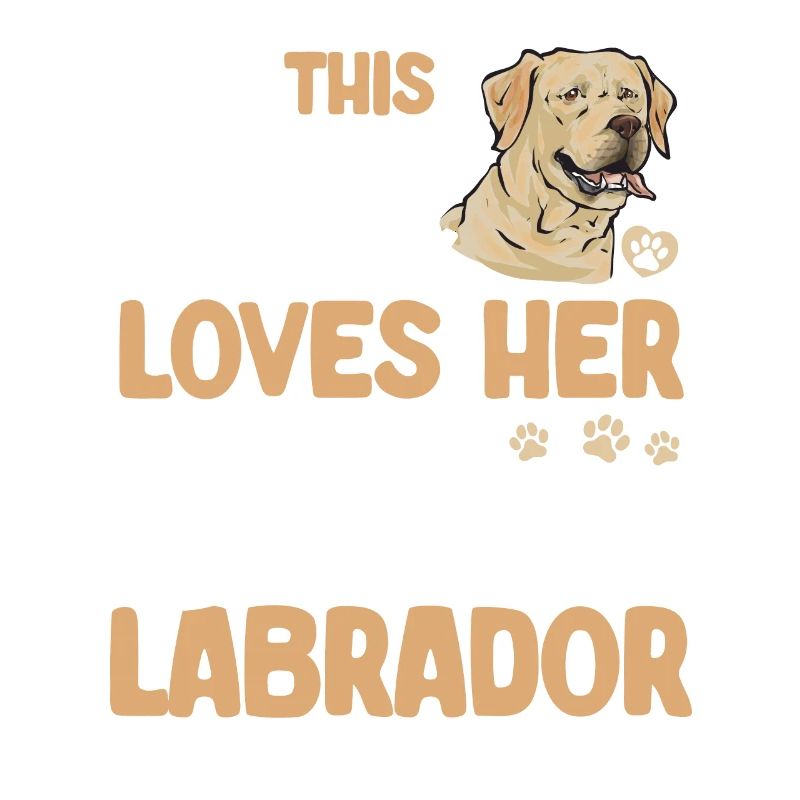 Labrador Retriever jaune