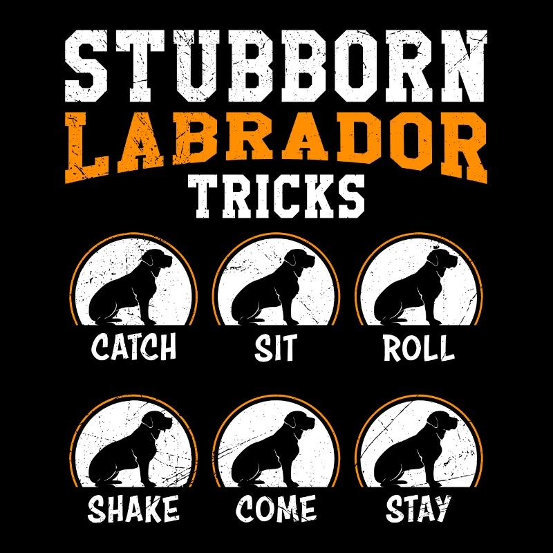 Propriétaire de Labrador ASTUCES DE LABRADOR TÊTU